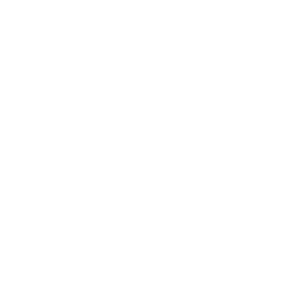 Vor Ort Inspektion Icon